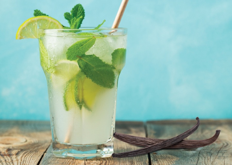 Vanilla Mojito